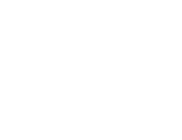 IVY TRUST INC.